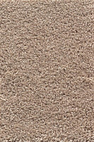 Ковролин AW Devotion 34 фото 1 | FLOORDEALER